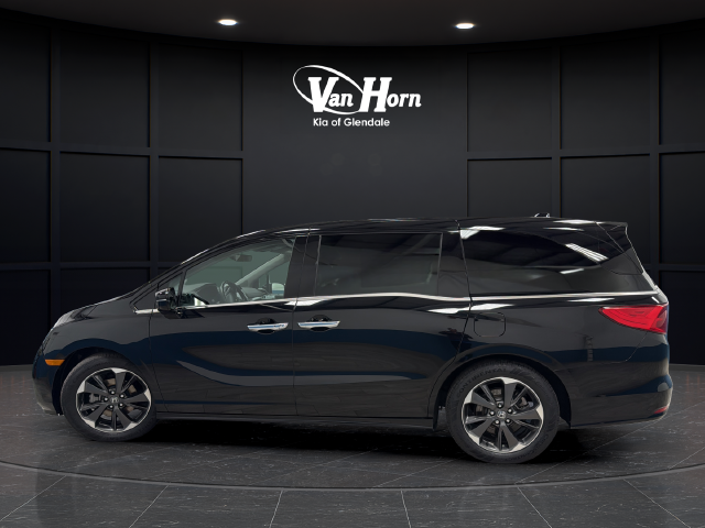 2024 Honda Odyssey Elite